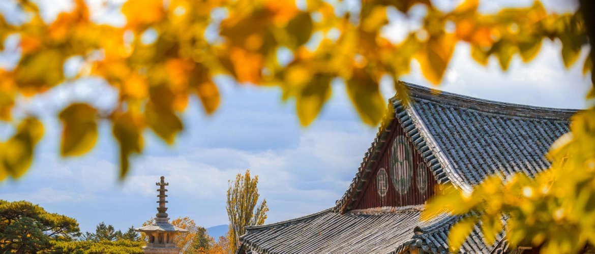 Scenic Gyeongju UNESCO heritage sites and ancient temples